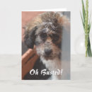 Search for busted cards Puppy