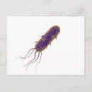 Search for bacterium postcards Flagellum