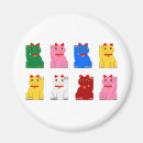 Search for maneki magnets Cat