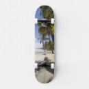 Search for attraction skateboards Travel
