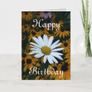 Search for susans cards Daisy