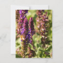 Search for bee postcards Floral