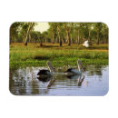 Search for kakadu magnets Australia