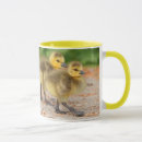 Search for cute goose mugs Birds
