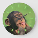 Search for chimpanzee clocks Chimps
