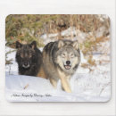 Search for hunting mouse mats Photography