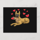 Search for malinois postcards Dog lover