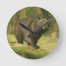 Search for tree trunk clocks Nature