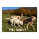 Search for fart photography Funny