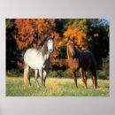 Search for standing together posters Bob langrish
