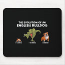 Search for evolution of mouse mats English