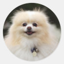 Search for headshot stickers Loulou
