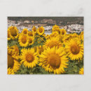 Search for cropland postcards Europe