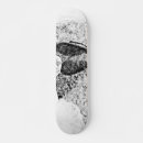 Search for icy skateboards Abstract