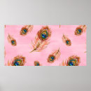 Search for peacock home decor posters Feather