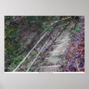 Search for stairs posters Park