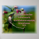 Search for hummingbird posters Botanical