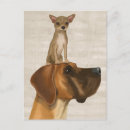 Search for dane postcards Animals