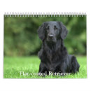 Search for flat coated retriever gifts Puppy