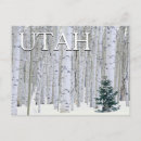 Search for aspen horizontal postcards National forest