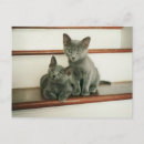Search for innocent postcards Cute