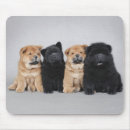 Search for chow mouse mats Cute