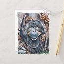 Search for orangutans postcards Wild animals