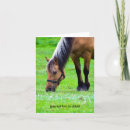 Search for fjords cards Norwegian fjord horse