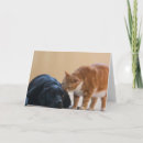 Search for animal charity cards Rescue