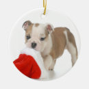 Search for bulldog christmas tree decorations Animals