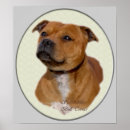 Search for bull terrier art Dog