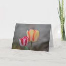 Search for tulip time cards Yellow