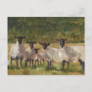 Search for sheep lamb postcards Farm