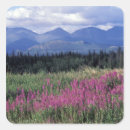 Search for public land stickers North america