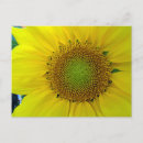 Search for flower seeds postcards Botanical