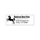 Search for equidae Horse