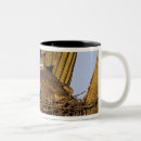 Search for tucson mugs Usa
