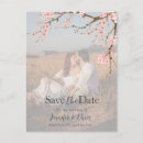 Search for cherry vertical postcards Sakura