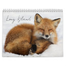 Search for seal calendars Wildlife