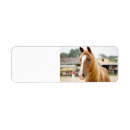 Search for quarter horse return address labels Equine
