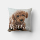Search for cat christmas cushions Fun and playful typography
