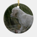 Search for flat coated retriever christmas tree decorations Standing