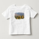 Search for district tshirts Lake district national park
