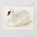 Search for vintage bird drawing postcards Animal