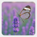 Search for lavender butterfly stickers Summer