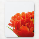 Search for tulip photos mouse mats Nature