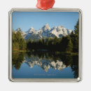 Search for grand teton national park christmas tree decorations Outdoors