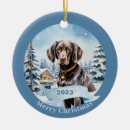 Search for german shorthaired pointer christmas tree decorations Liver