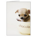 Search for chihuahua puppies postcards Small