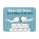 Search for birds 4x6 invitations Cute